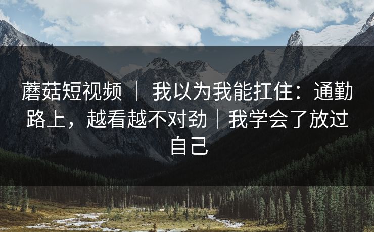 蘑菇短视频 ｜ 我以为我能扛住：通勤路上，越看越不对劲｜我学会了放过自己