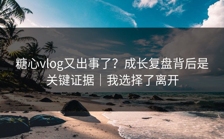 糖心vlog又出事了？成长复盘背后是关键证据｜我选择了离开