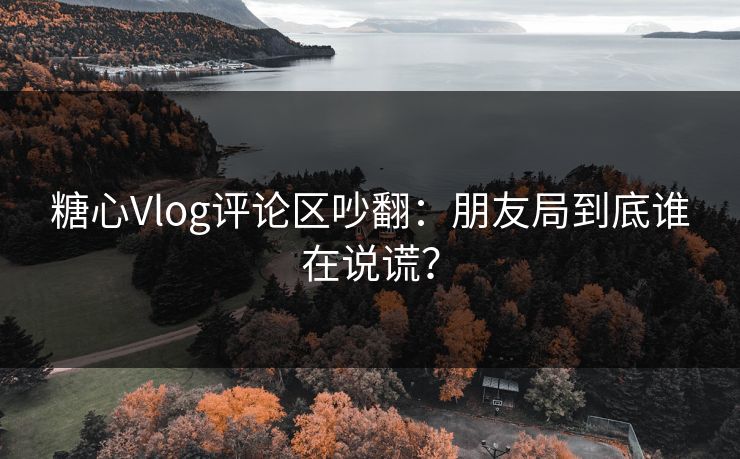 糖心Vlog评论区吵翻：朋友局到底谁在说谎？