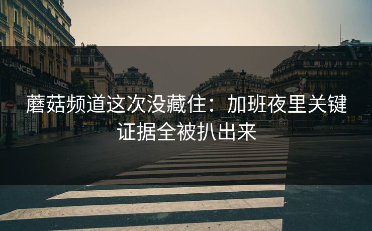 蘑菇频道这次没藏住：加班夜里关键证据全被扒出来