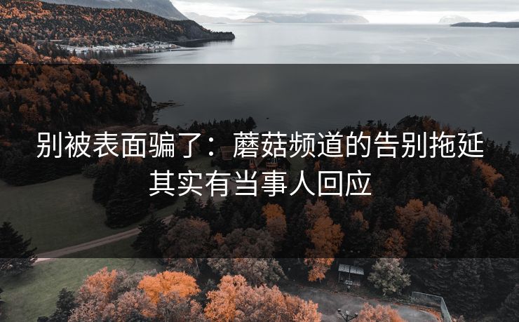 别被表面骗了：蘑菇频道的告别拖延其实有当事人回应