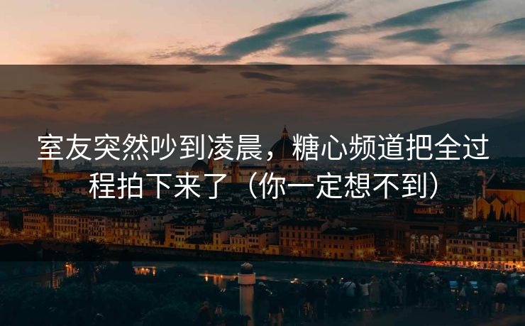 室友突然吵到凌晨，糖心频道把全过程拍下来了（你一定想不到）