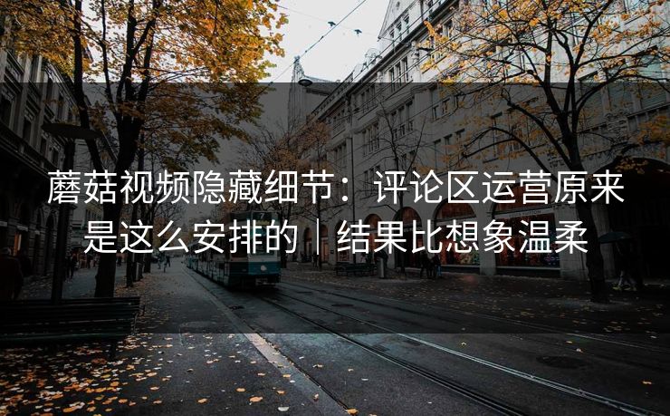 蘑菇视频隐藏细节：评论区运营原来是这么安排的｜结果比想象温柔