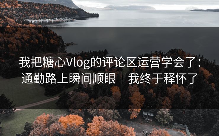 我把糖心Vlog的评论区运营学会了：通勤路上瞬间顺眼｜我终于释怀了