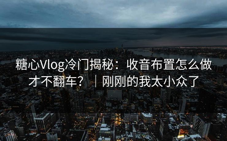 糖心Vlog冷门揭秘：收音布置怎么做才不翻车？｜刚刚的我太小众了