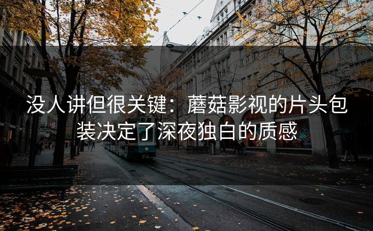 没人讲但很关键：蘑菇影视的片头包装决定了深夜独白的质感